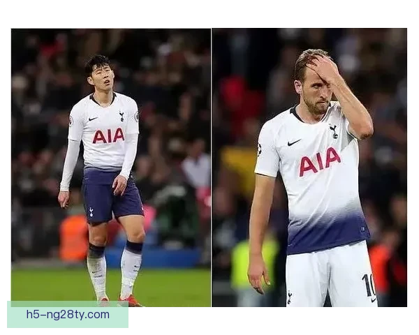 枪迷调侃维冈假扮热刺引发热议